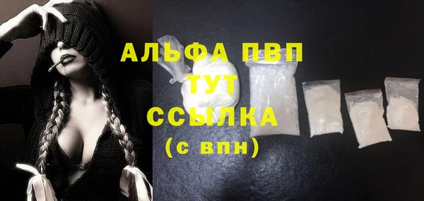 СК Белокуриха