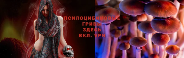 МДМА Богородск