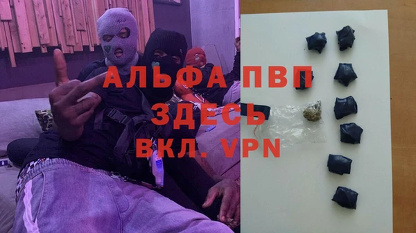 СК Белокуриха